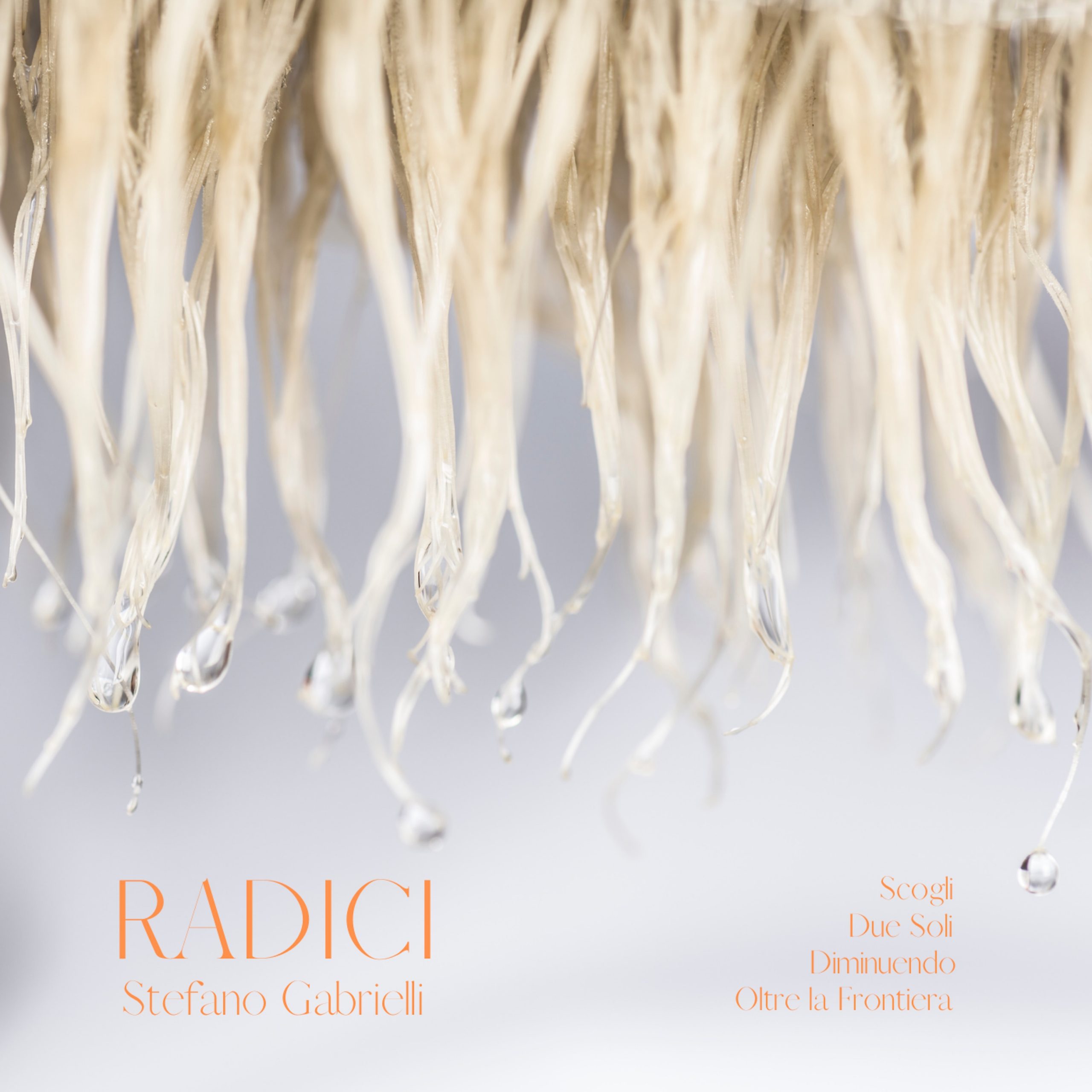 Ritorno discografico per Stefano Gabrielli, con il concept album “Radici”